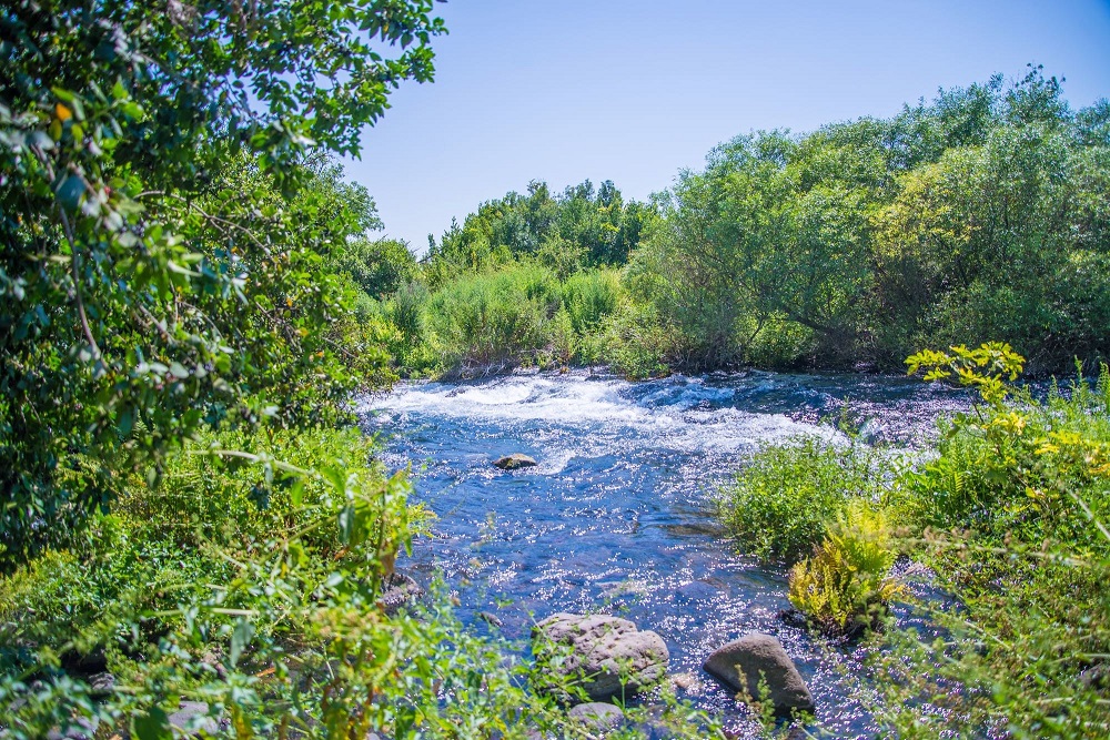 נחל דן- צילום מנו גרינשפן
