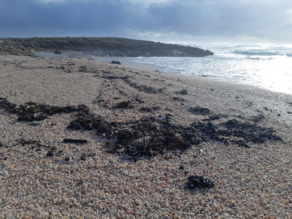 חוף הבונים - מתן כרמל