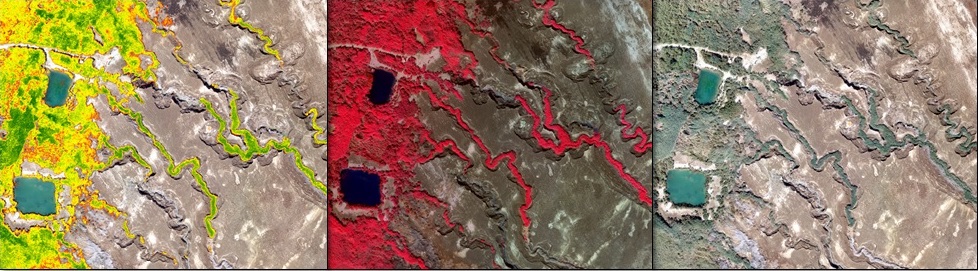 שמורת טבע עינות צוקים בתצלומים מטיסן