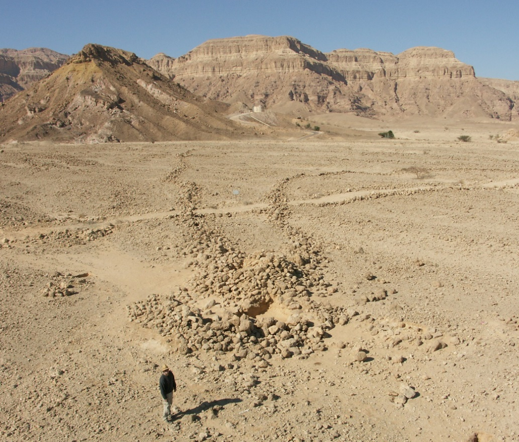 שרידי עפיפון מדבר בערבה- צילום: עוזי אבנר
