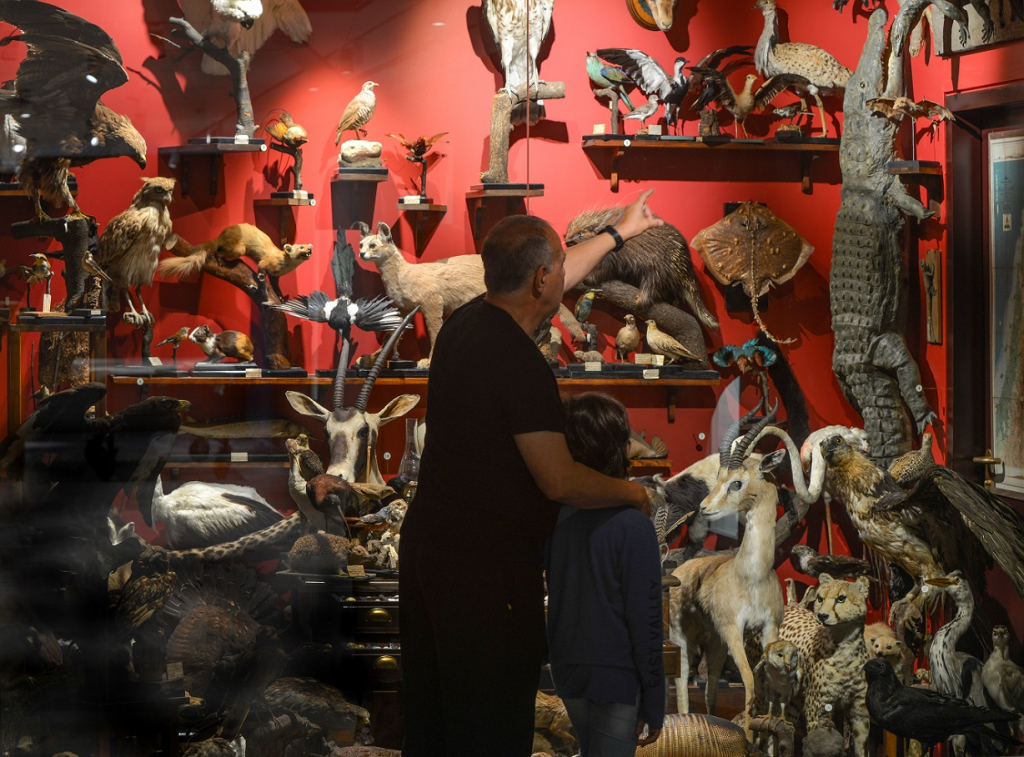 תצוגת האוסף של האב ארנסט שמיץ- צילום שי בן אפרים