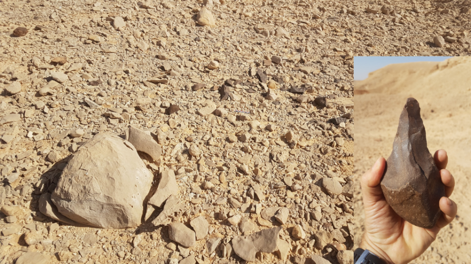 איור 2. ריכוז פריטי צור ואבן יד באזור הערבה, חורף 2019