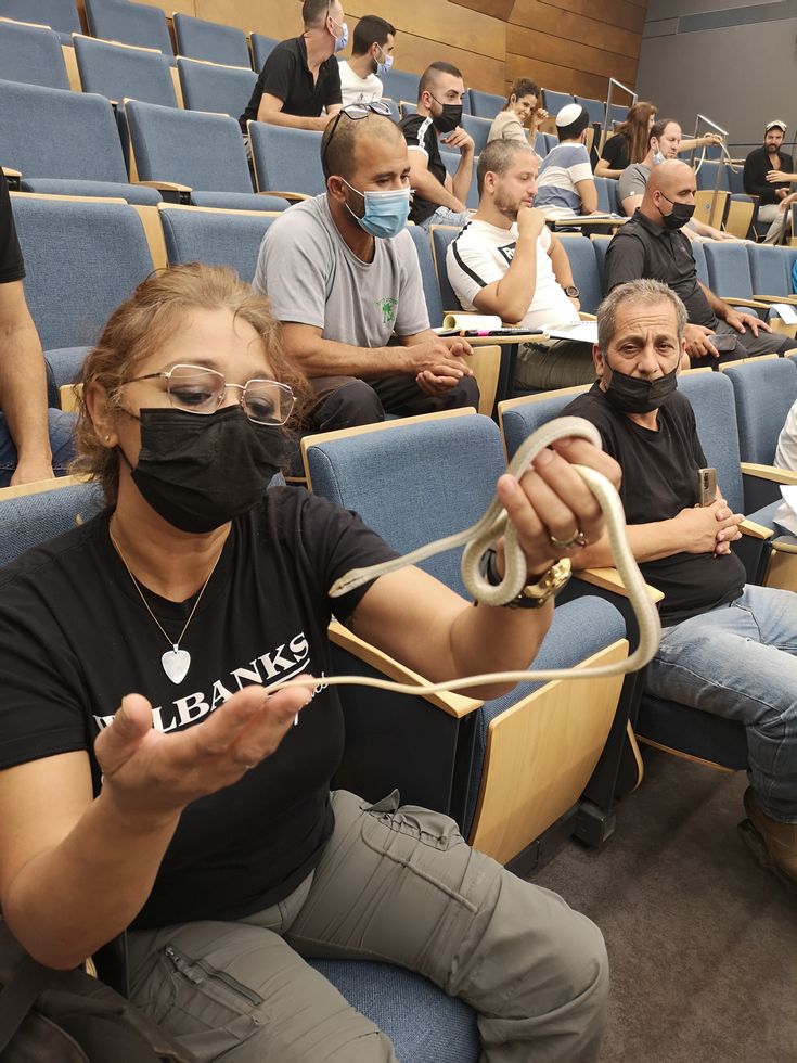 קורס לוכדי נחשים