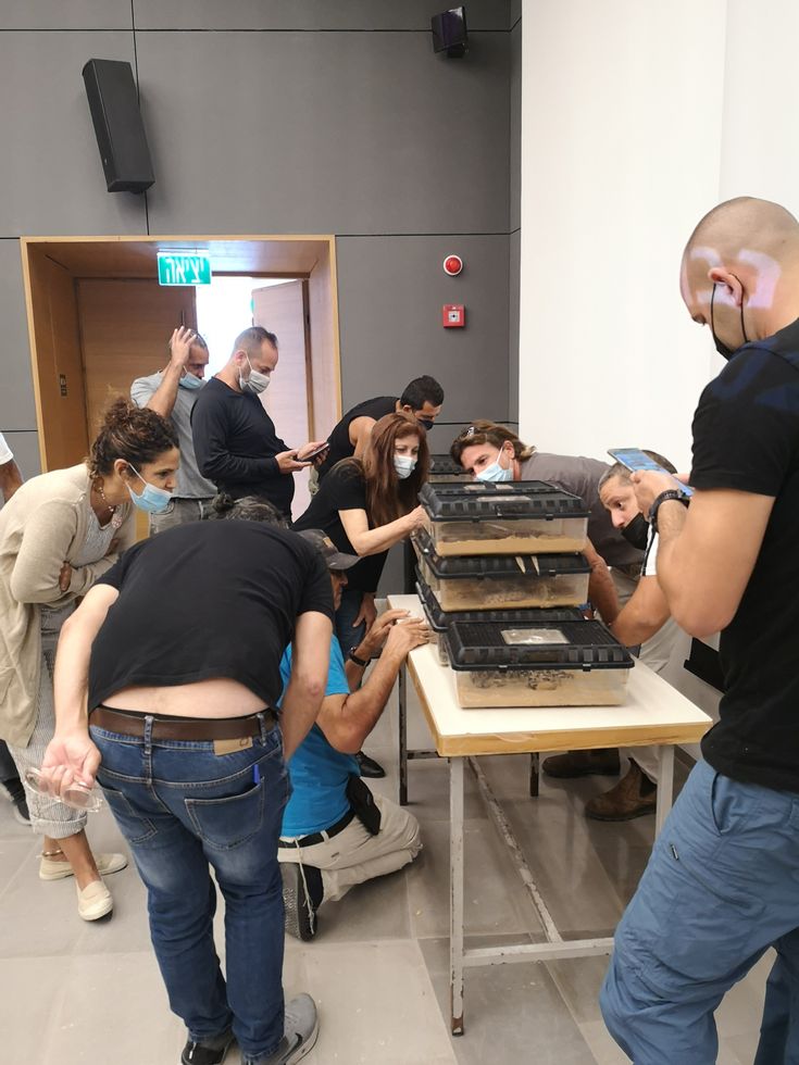 קורס לוכדי נחשים