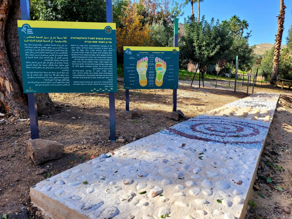 שביל הרפלקסולוגיה בחמת טבריה. שביל הרפלקסולוגיה בחמת טבריה - צילמה שרית פלצ'י מיארה