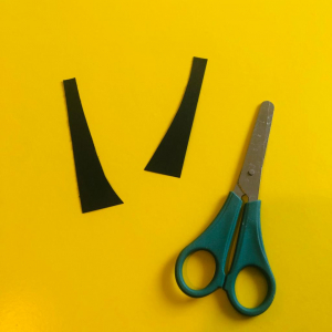 מסיכת קרקל לפורים - החומרים הדרושים, צילמה אפרת חסון דה בוטון