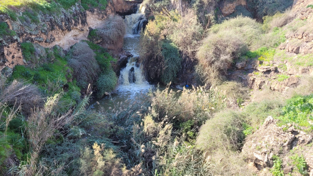 נחל חרוד. צילום: רחל אשכול