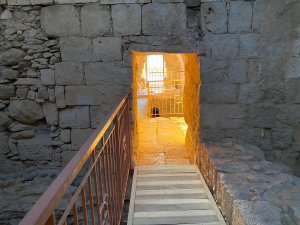 הגן הלאומי עבדת - מחמד אל זיאדת-