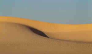 חולות לוטן - צילום דורון ניסים רשות הטבע והגנים