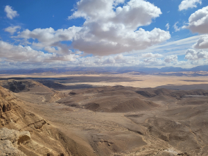ערבה דרומית צילום דוקטור טל פולק רשות הטבע והגנים