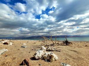 שמורת האלמוגים ביום חורפי - צילום דוקטור אסף זבולוני רשות הטבע והגנים