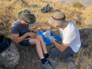 מישדור עקבים עיטיים צילום נמרוד להב רשות הטבע והגנים