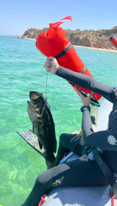 מבצע אכיפת דיג - היחידה הימית של רשות הטבע והגנים