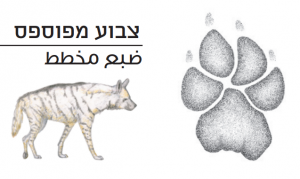 צבוע מפוספס