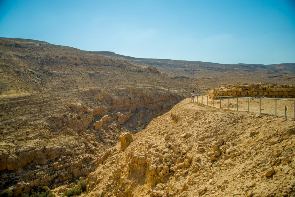 ממשית, צילום: מנו גרינשפן