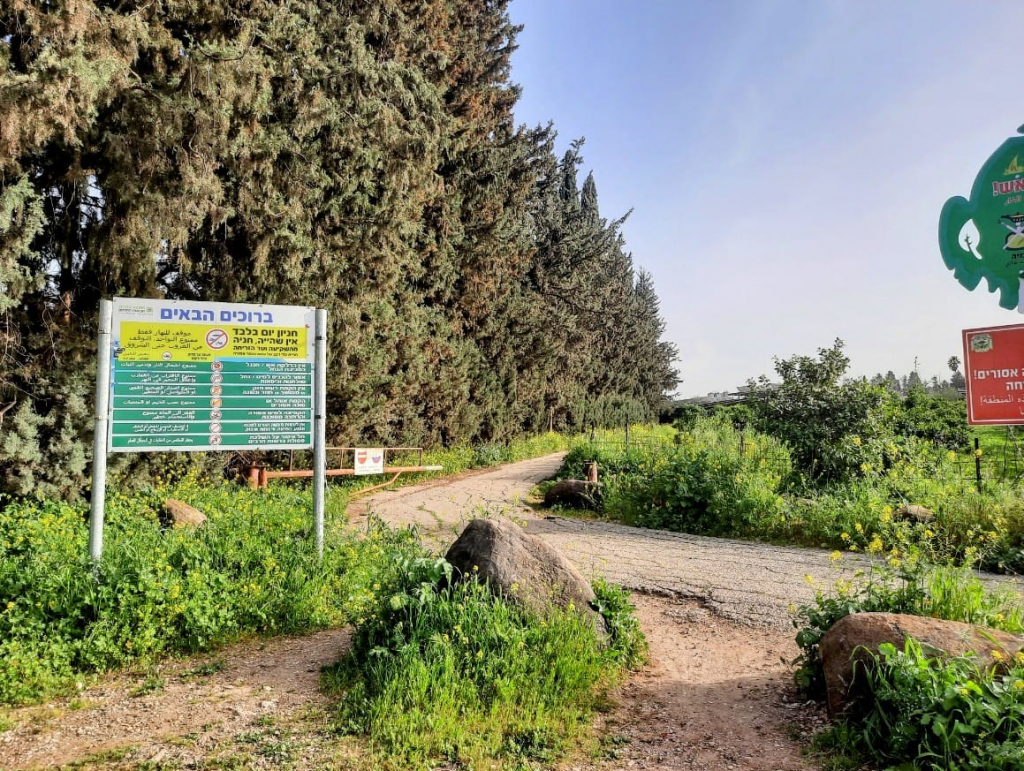 נחל שניר. צילום: שחר וייס פלד