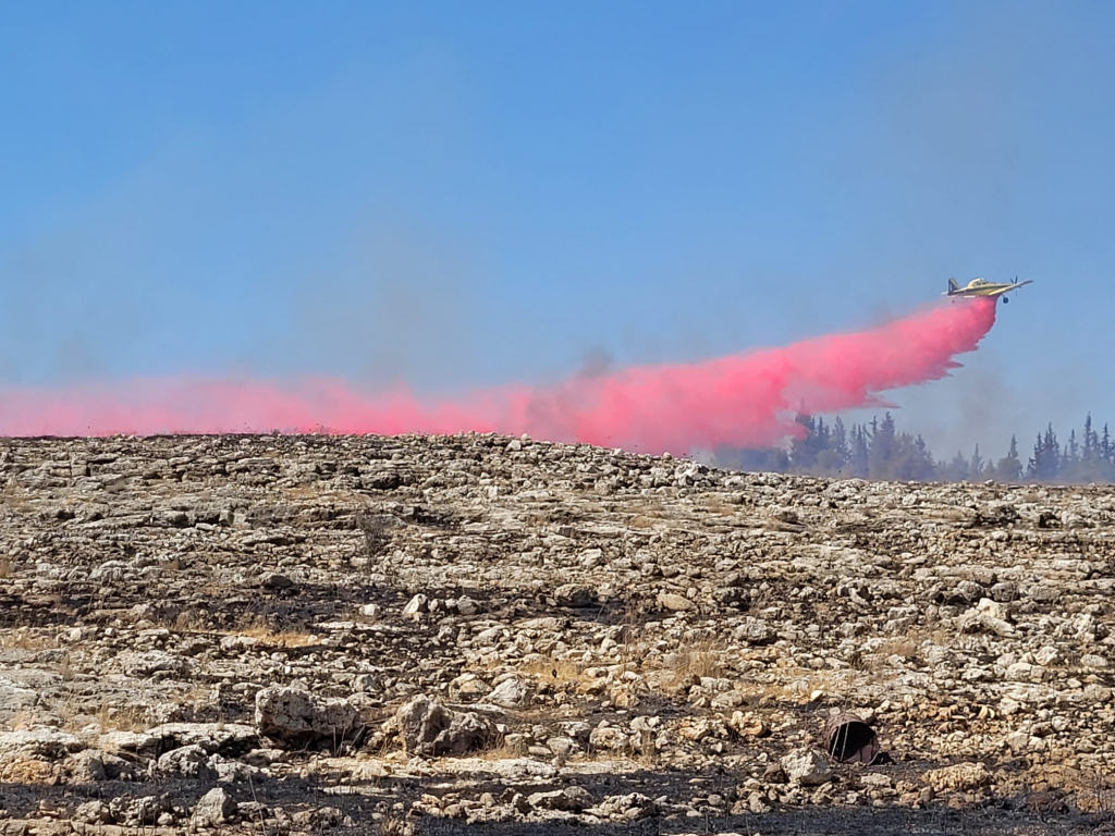 שריפה בשמורת הדום שומרון. צילום: ברוך תמם, רשות הטבע והגנים