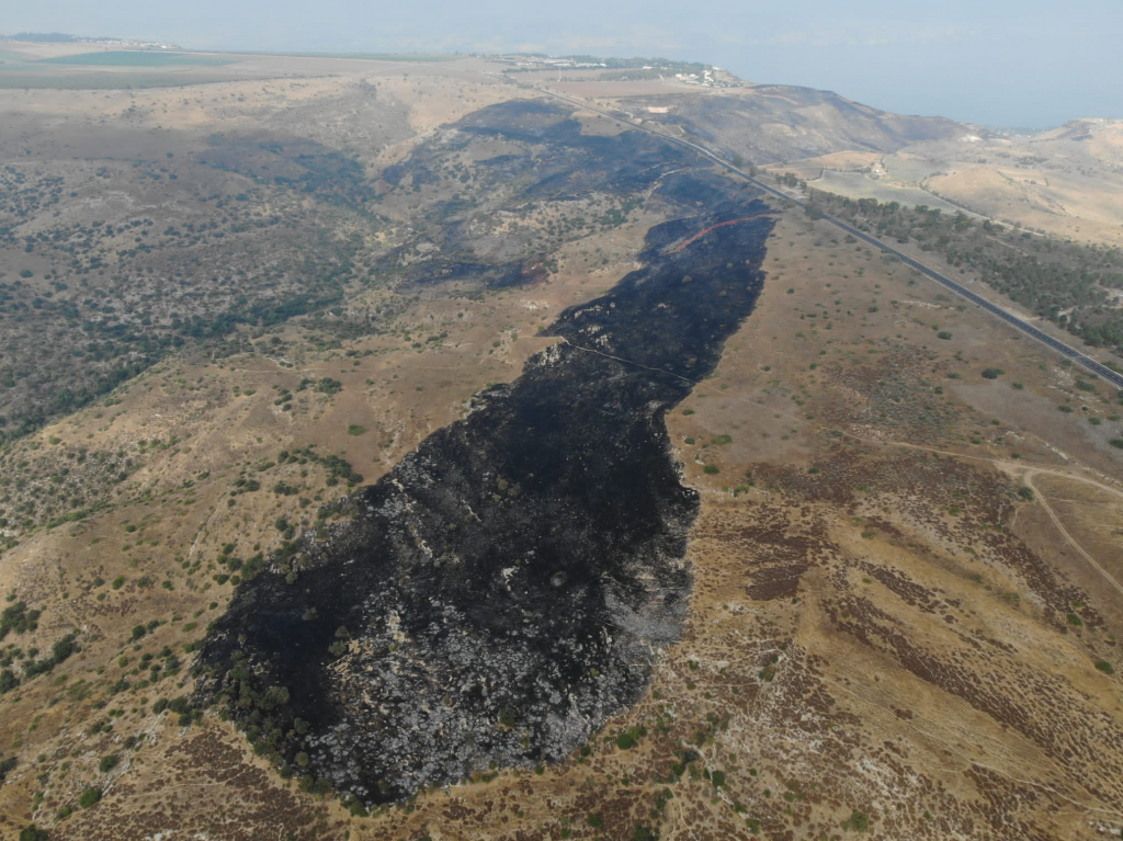 השריפה בסוסיתא. צילום: חנן, רשות הטבע והגנים