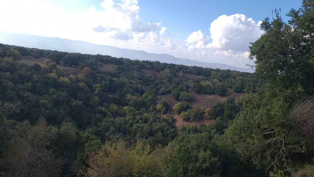 הג'ובה הגדולה