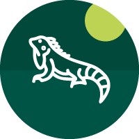 אייקון זוחלים