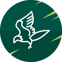 אייקון עופות דורסים