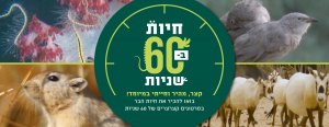 סליידר חיות ב 60 שניות בלי כפתור
