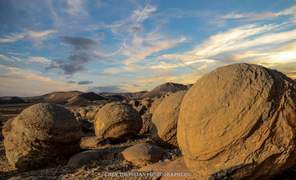 צילום: חן טופיקיאן