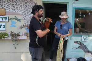 מבצע חילוץ והצלה תחת אש לחיות הבר מהעוטף