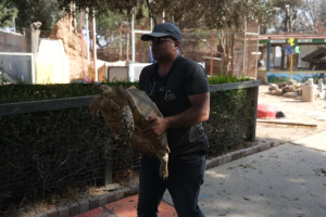 מבצע חילוץ והצלה תחת אש לחיות הבר מהעוטף