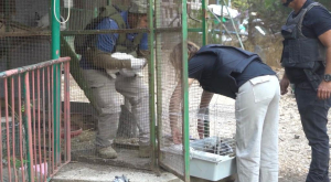 מבצע חילוץ חיות הבר מאזורי סכנה, צילום רשות הטבע והגנים