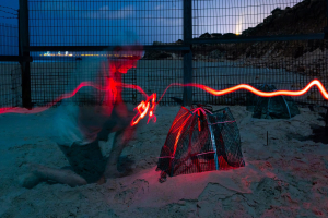 תצלום של שמרצב בלילה. צילם דורון תלמי