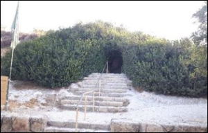 אלת המסטיק צומחת מעל המערה, ושורשי העץ התבססו בתוך סדקים בסלע ושורשי העץ התבססו בתוך סדקים בסלע