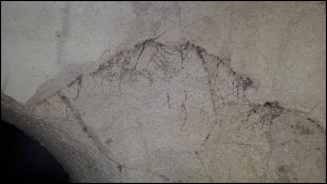 ניקוי הסדקים והסרת מניפת שורשים, שהתבססה בתוך הסדקים ומאיימת על יציבות קרום הסלע