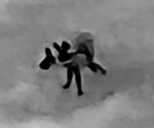 הזדווגות צבועים הזדווגות צבועים