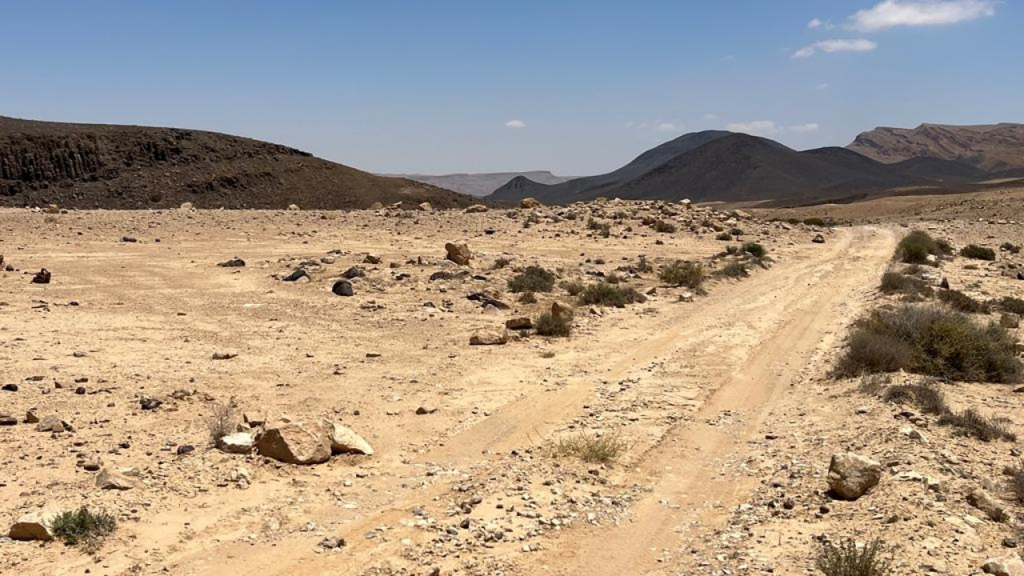 דרום, צילום: שרון גולן הרשקוביץ