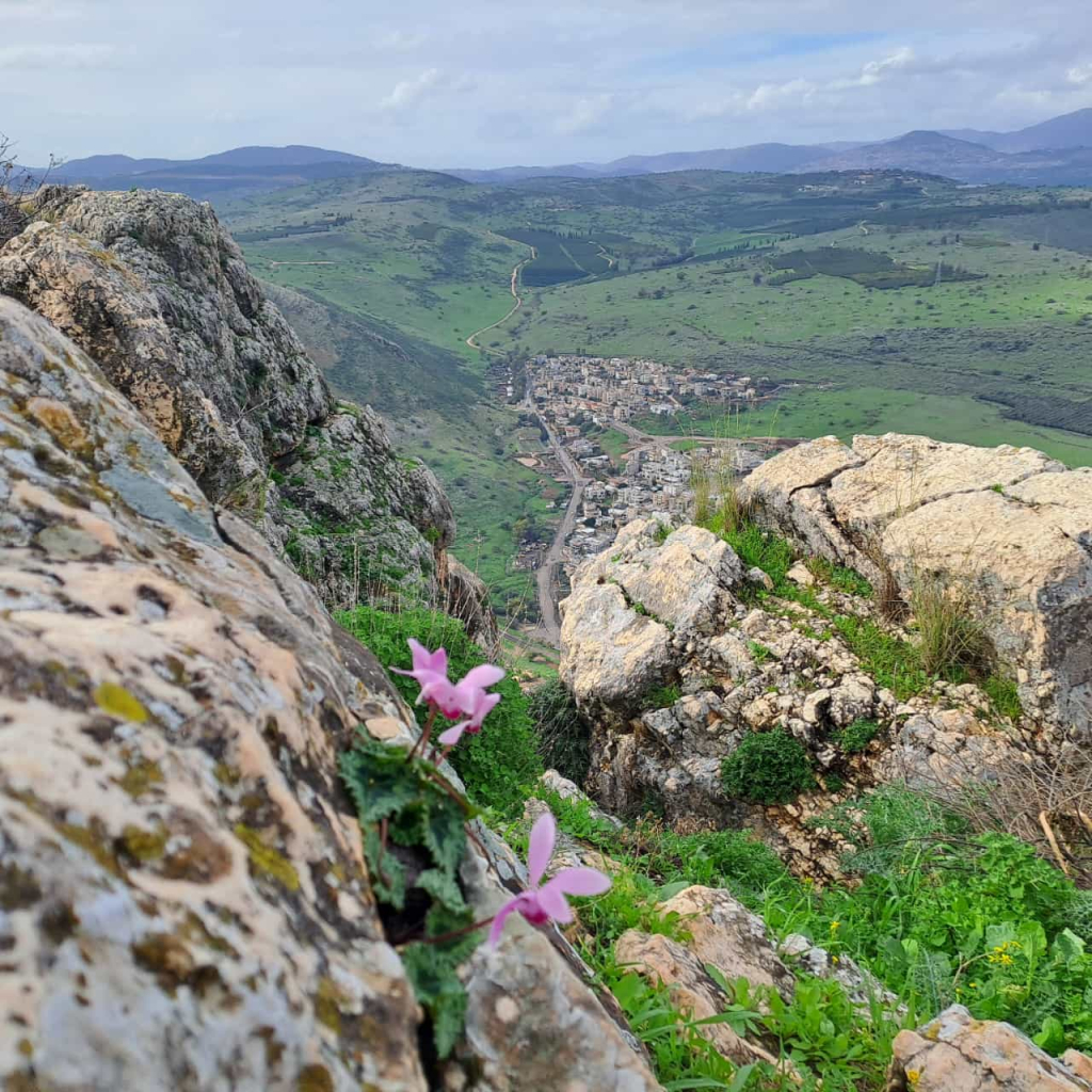 תמונת נוף. צילום נעה עומייסי