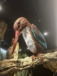 מרכז המבקרים החדש בעיינות צוקים, צילום מיכל משיח