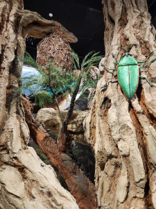 מרכז המבקרים החדש בעיינות צוקים, צילום מיכל משיח