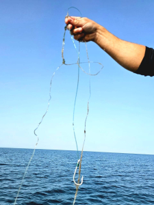 אכיפת דיג לא חוקי בעונת הרבייה אכיפת דיג לא חוקי בעונת הרבייה