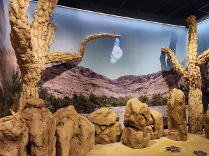 מרכז המבקרים החדש בעיינות צוקים, צילום מיכל משיח