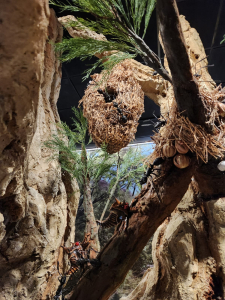 מרכז המבקרים החדש בעיינות צוקים, צילום מיכל משיח